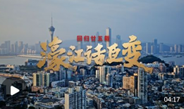 澳门视频,视频中的光影之旅